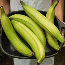 PLATANO TROPICAL CJ DE 22 KILOS VERDE