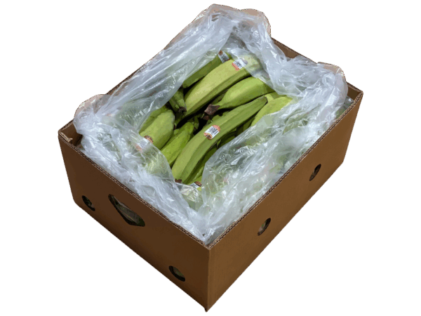 PLATANO VERDE CAJA DE 21KG