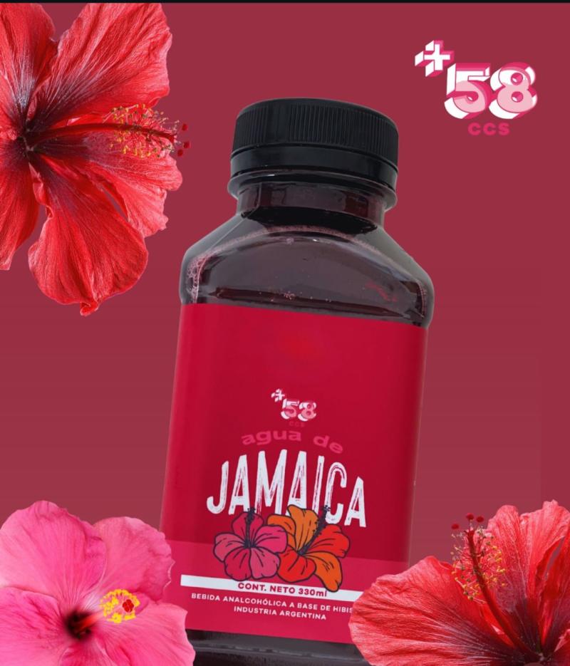 AGUA DE JAMAICA +58 330MLX12 UND