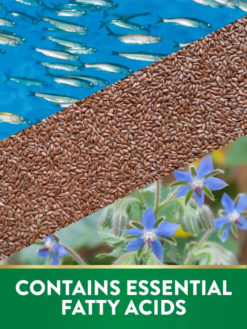 Omega 3 6 9 Triple 3600mg | 120 Cápsulas | Aceites De Pescad Sin Sabor
