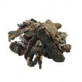 Hongos Secos de Pino 50 g El Peoncito