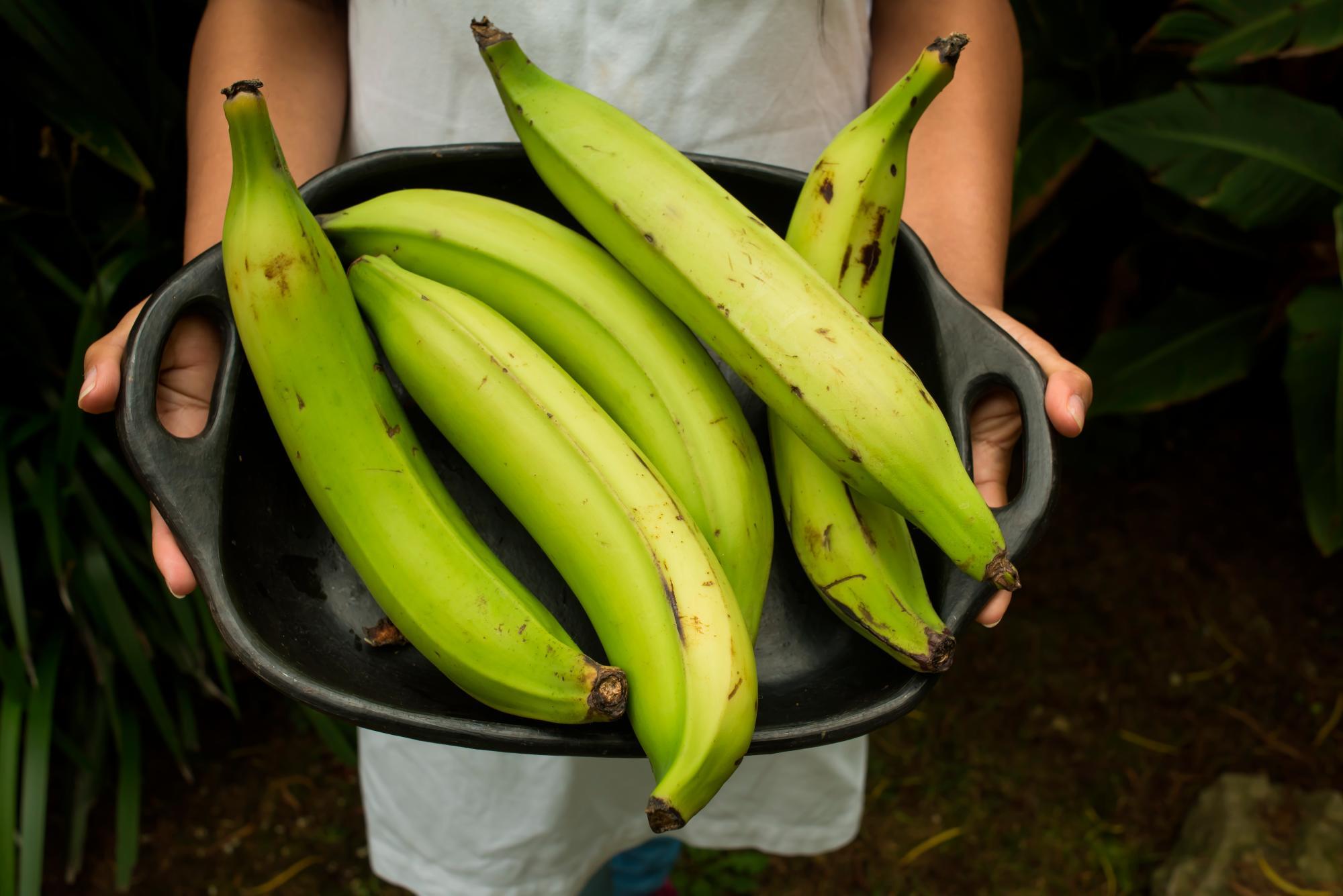 PLATANO VERDE CAJA 14KG
