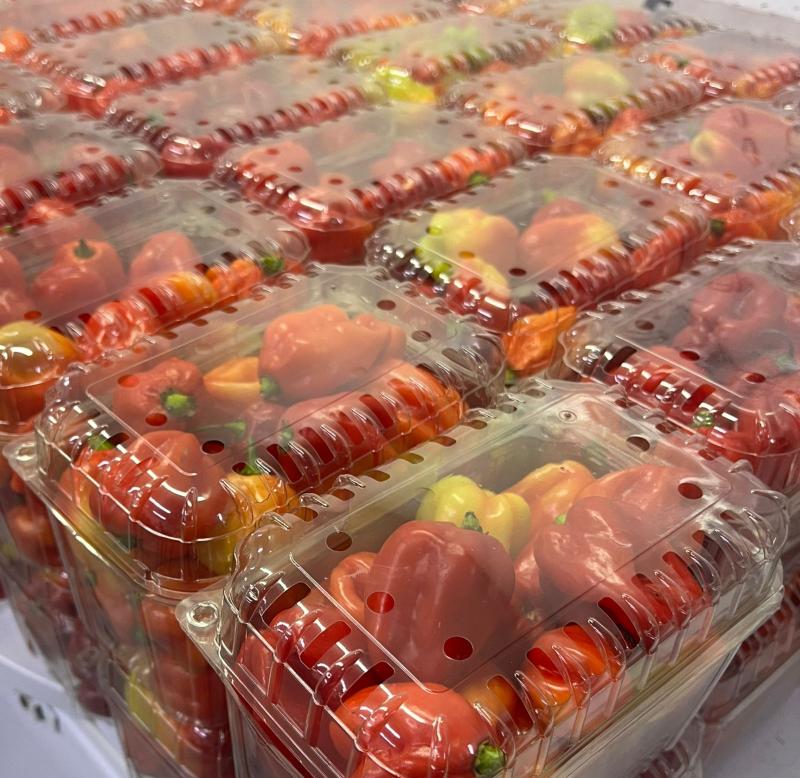 AJI DULCE EN BANDEJA 250GRS EL TOVAREÑO