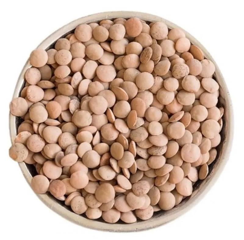 lentejas por 6kg