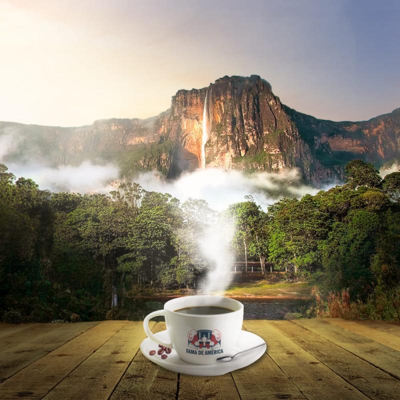 CAFE FAMA DE AMERICA 250GR X 8UNDS