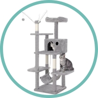 RASCADORES PARA GATOS