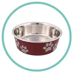 COMEDEROS PARA PERROS Y GATOS
