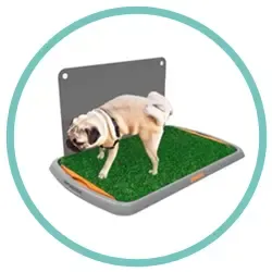 BANDEJAS SANITARIAS PERROS