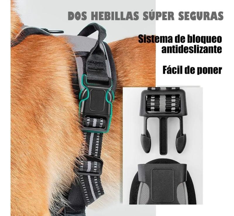 Arnes Pretal Anti Tirones Xxl