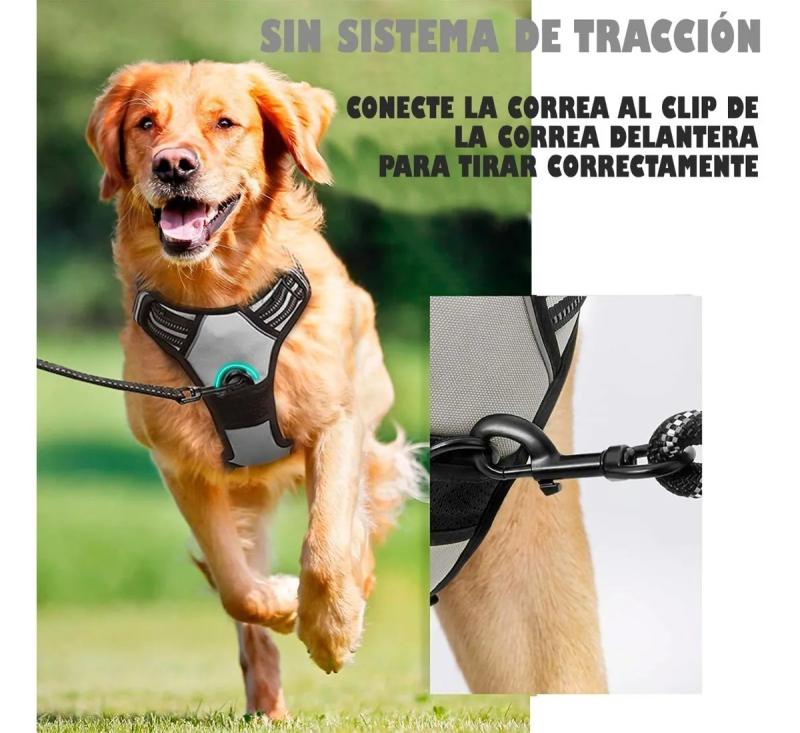 Arnes Pretal Anti Tirones Xxl