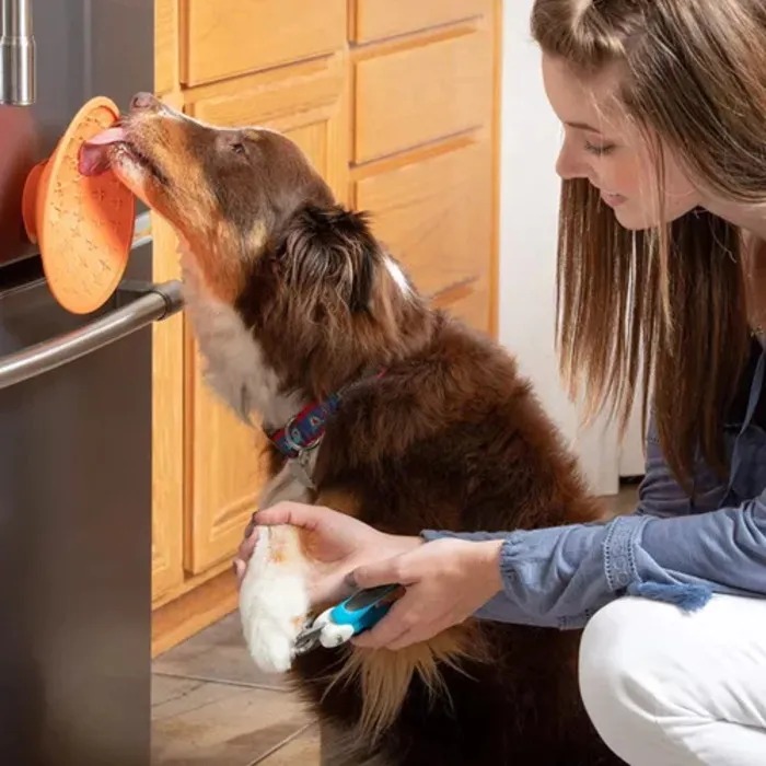 Alfombra De Lamer Mantel Antiestres Lickimat Splash