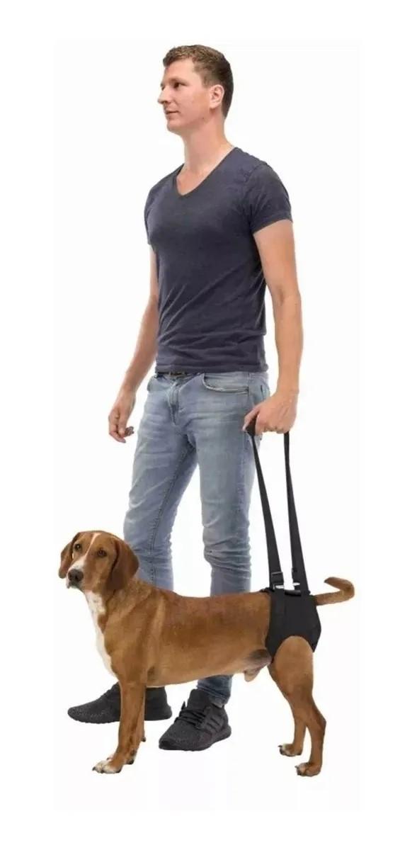 Andador Rehabiltacion Perro Displasia Cadera L Trixie