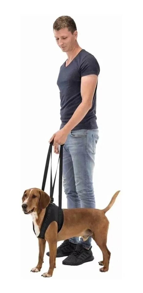 Andador Rehabiltacion Perro Displasia Cadera M Trixie