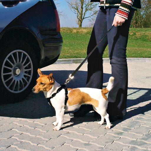 Arnes Y Cinturon Seguridad Trixie L Perros Cachorros