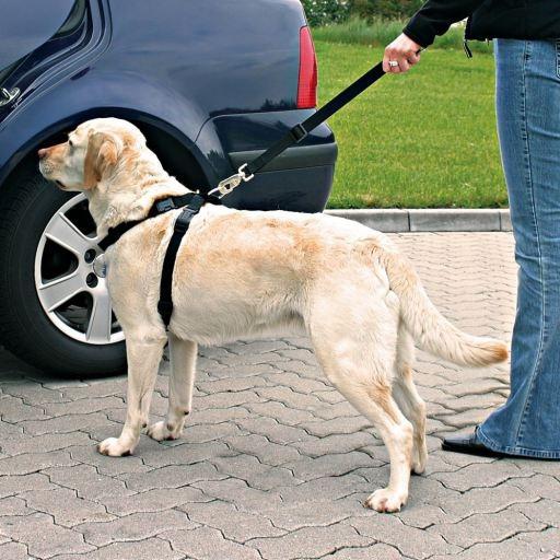 Arnes Y Cinturon Seguridad Trixie L Perros Cachorros