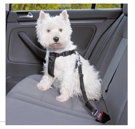 Arnes Y Cinturon Seguridad Trixie M Perros Cachorros