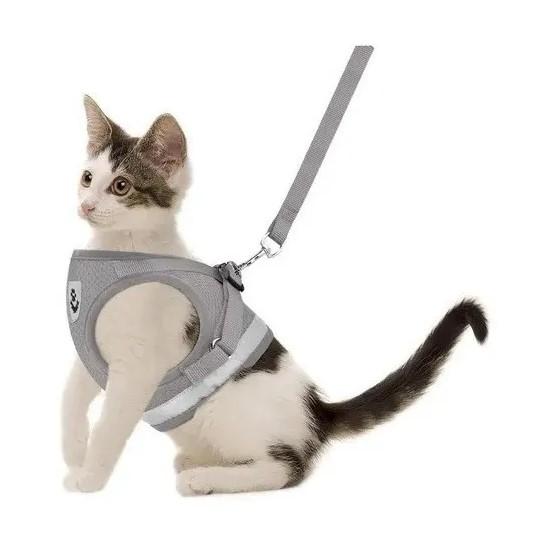 Arnes Y Correa Import Xl Gatos Conejos Huron Perros Mascotas