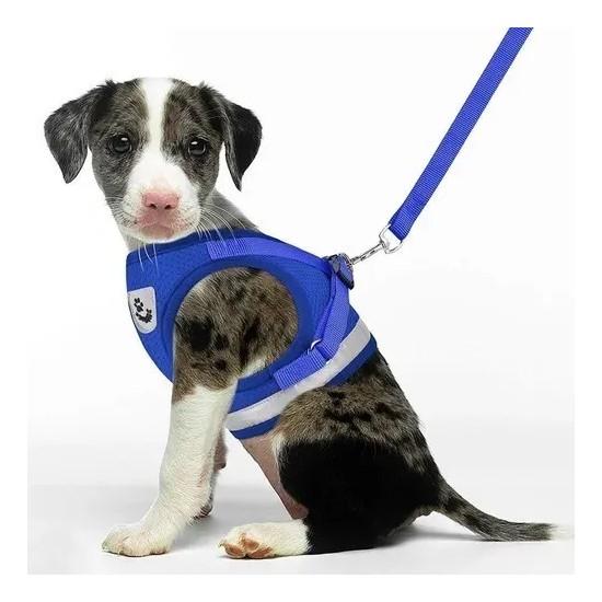 Arnes Y Correa Import Xl Gatos Conejos Huron Perros Mascotas