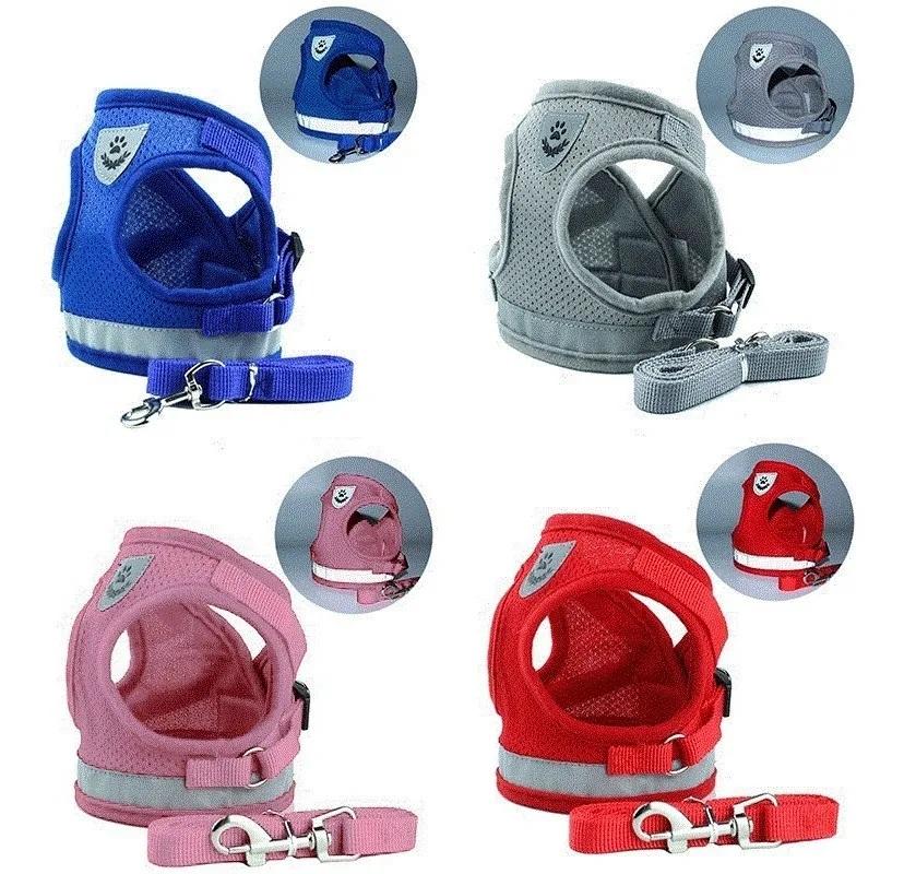 Arnes Y Correa Import Xl Gatos Conejos Huron Perros Mascotas
