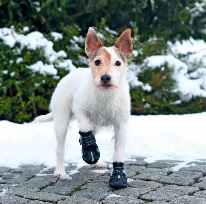 Botitas Perro Antideslizante Suela Goma Active L-xl Trixie