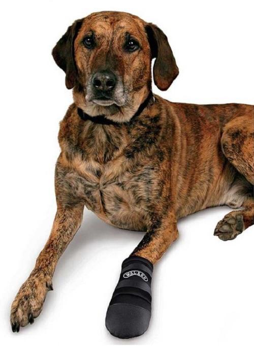 Botitas Walker Active S-m Antideslizante Perros Trixie