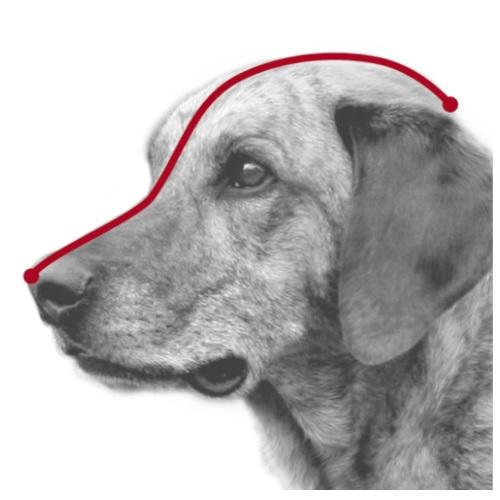 Bozal Plastico M-l Trixie Mascotas Perros Cachorros