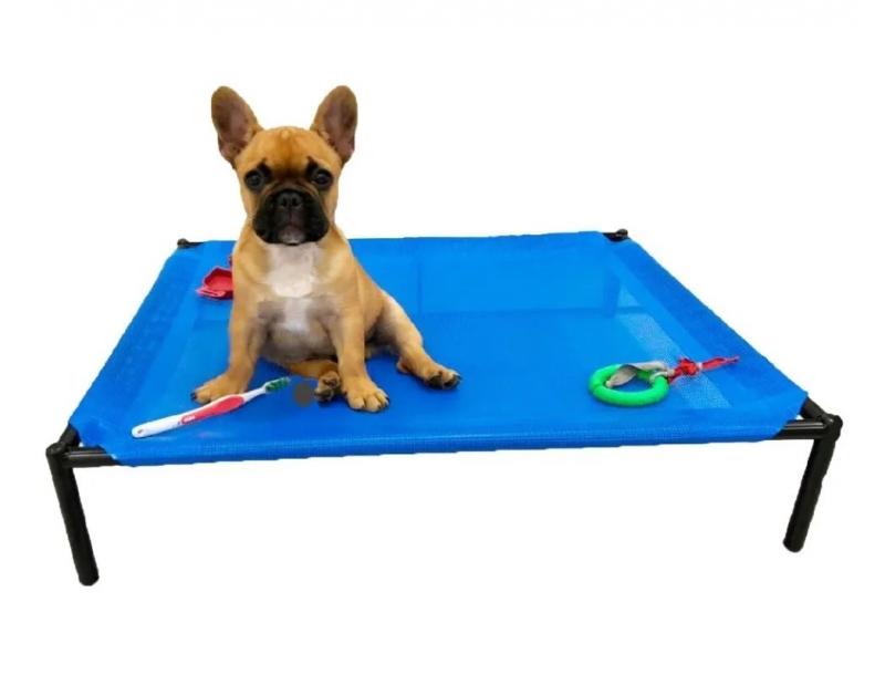 Catre Grande Perros Cachorros Mascotas Bulldog