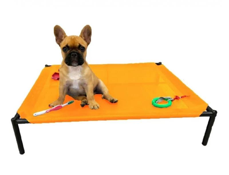 Catre Grande Perros Cachorros Mascotas Bulldog