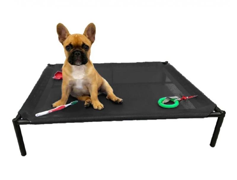 Catre Grande Perros Cachorros Mascotas Bulldog