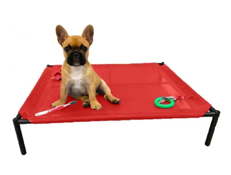 Catre Grande Perros Cachorros Mascotas Bulldog