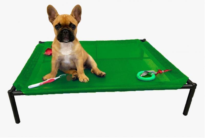 Catre Grande Perros Cachorros Mascotas Bulldog