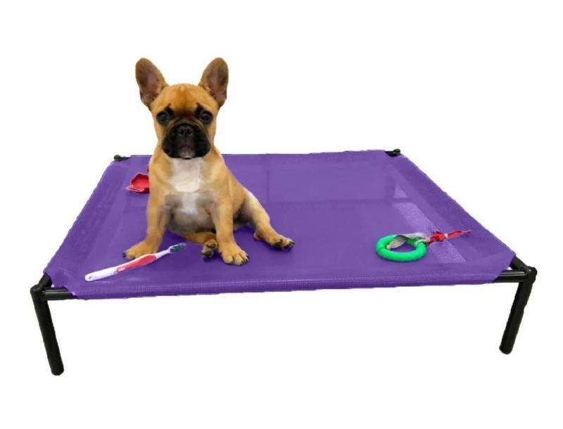 Catre Grande Perros Cachorros Mascotas Bulldog