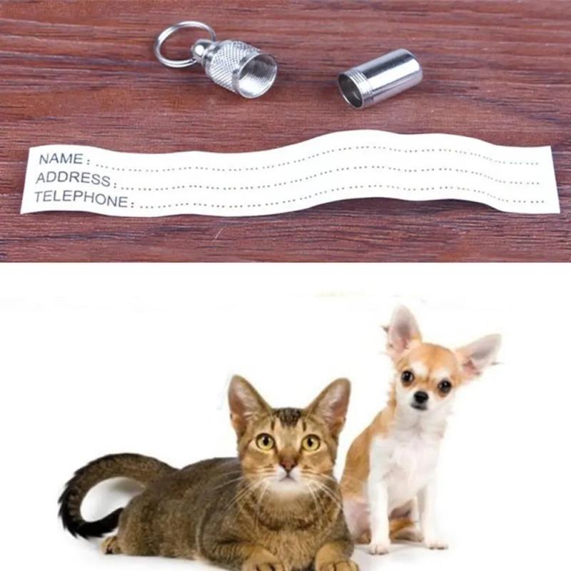 Capsula Porta Informacion Medalla Perros Cachorros Mascotas