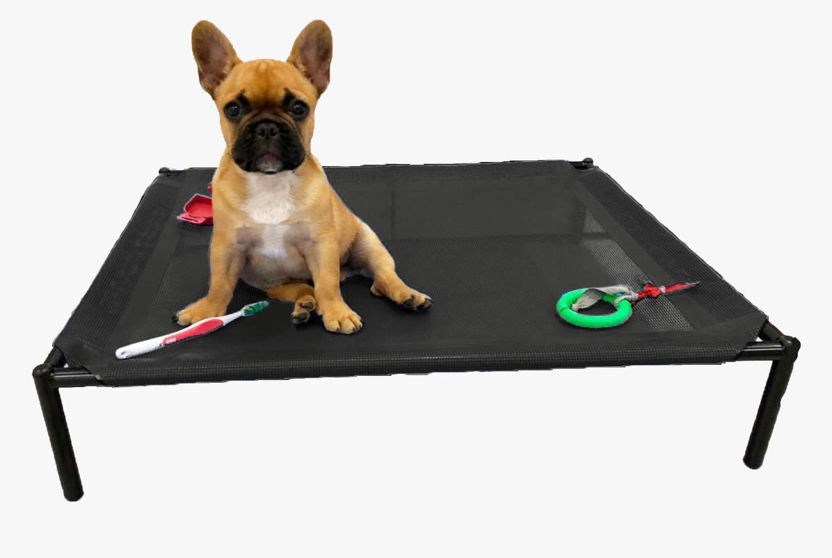 Catre Mediano Perros Cachorros Mascotas Bulldog