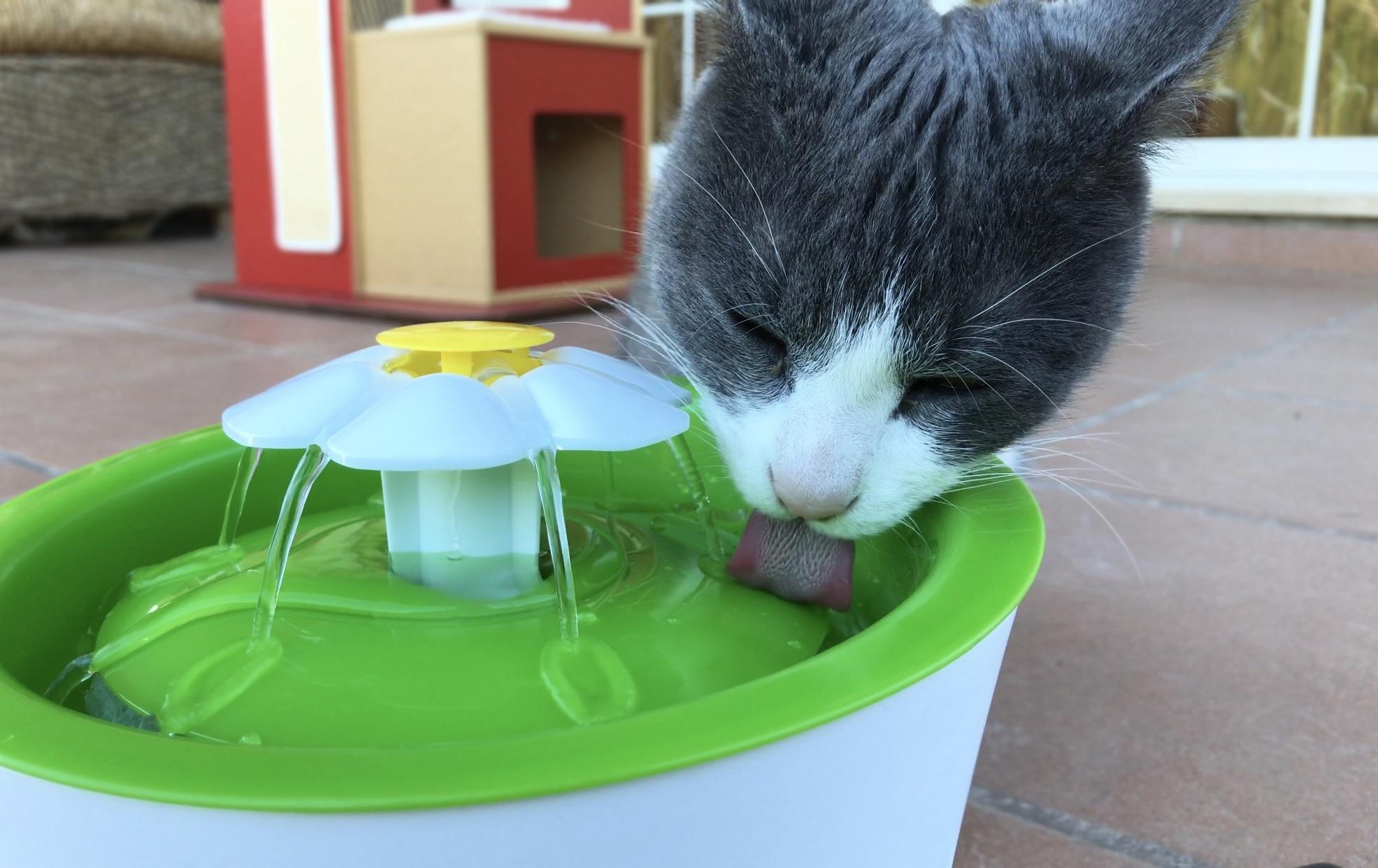 Fuente Bebedero 3l Catit Gatos Persa Siames Mascotas