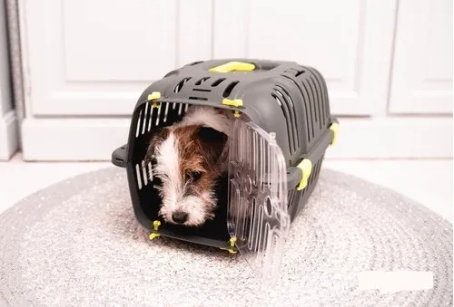 Transportadora Para Mascotas Carrier Jet Ferplast 20