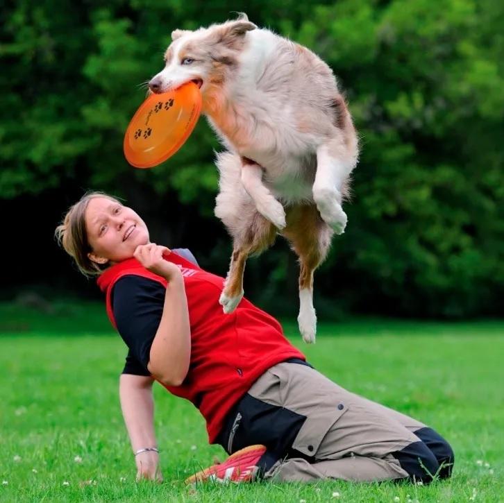 Juguete Frisbee Extra Resistente 19 cm Perros Cachorros Trixie