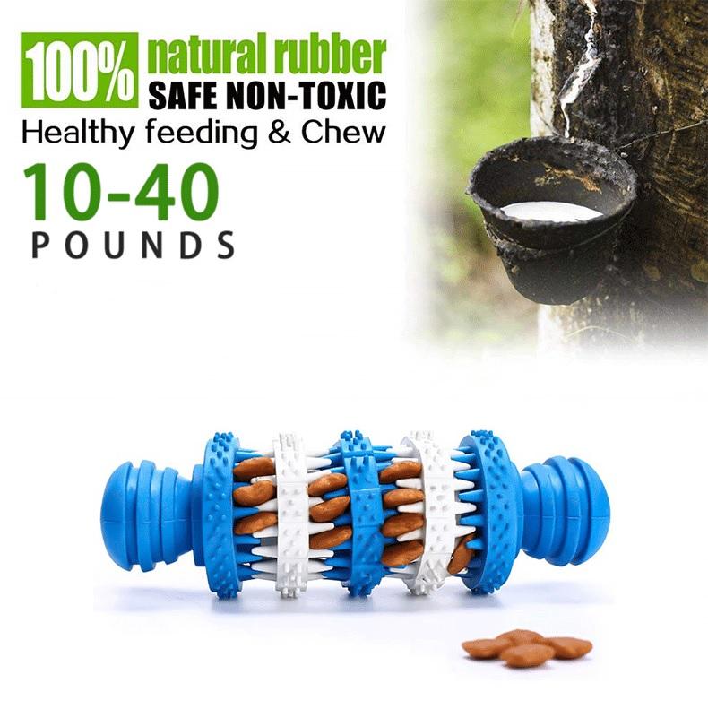 Juguete Hueso Dental Cachorros Perros Mascotas BP