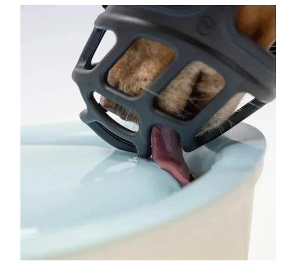 Bozal Ajustable Canasta Alpha Xl Perros Cachorros Mascotas