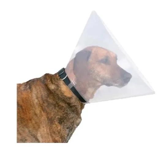 Collar Isabelino Plástico M Perros Cachorros Mascotas