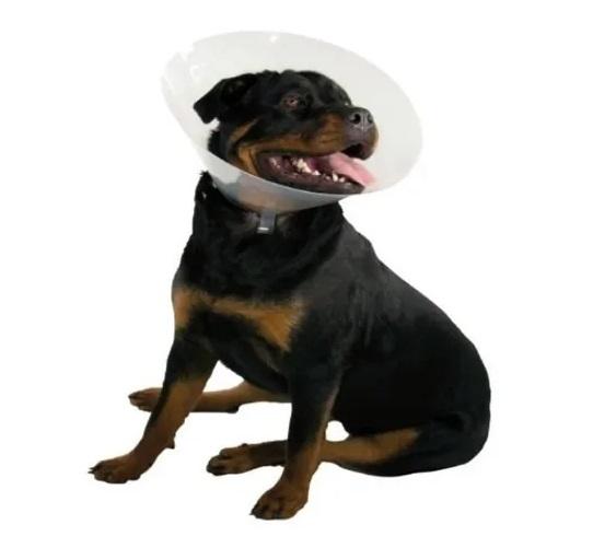 Collar Isabelino Plástico L Perros Cachorros Mascotas