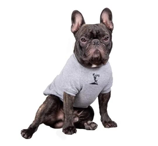 Buzo Rafi Ropa Perros Cachorros Mascotas