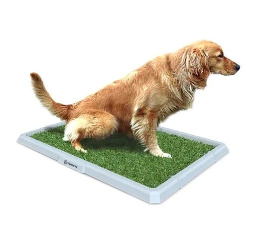 Bandeja Sanitaria Grande Tonipets Perros Cachorros Mascotas