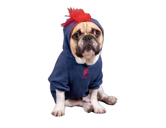 Buzo Dogwie Ropa Perros Cachorros Mascotas