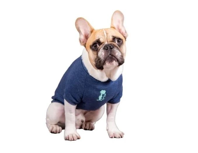 Buzo Krusty Ropa Perros Cachorros Mascotas