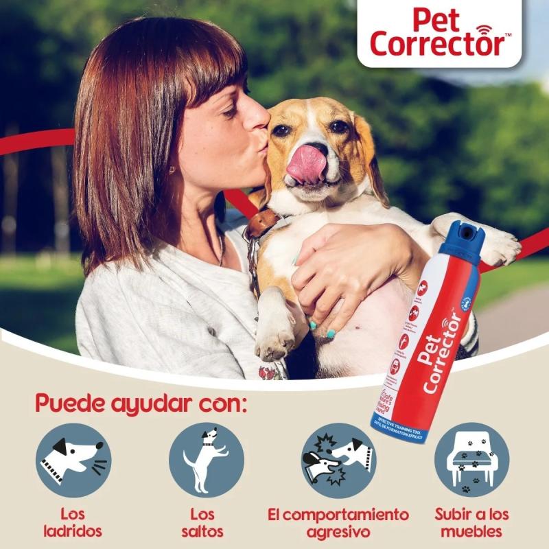 Aerosol Adiestramiento Sonido Gas Pet Corrector 200ml Perros