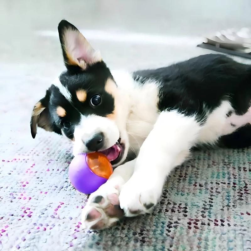 Juguete Pelotas Squezz Action Medium Azul Y Verde X3u Kong