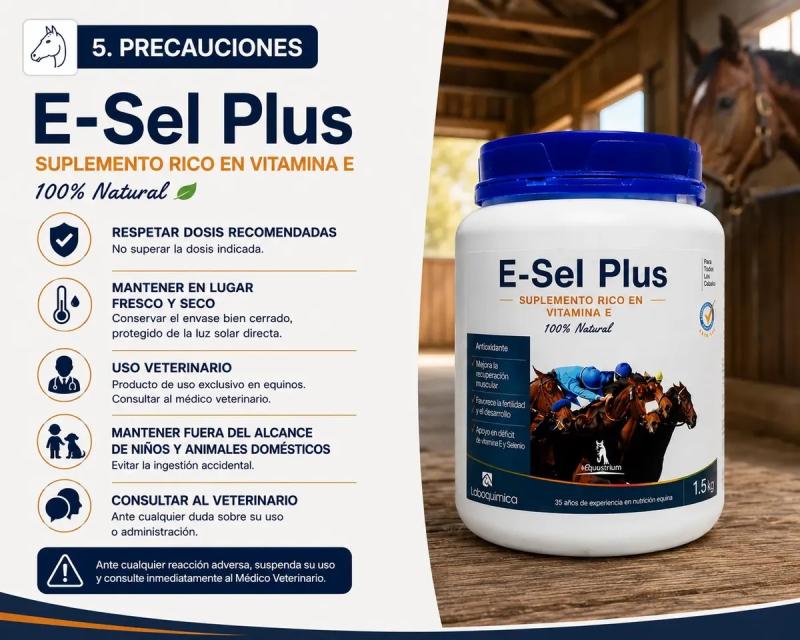 Suplemento Nutricional Muscular E-sel Plus 4kg Laboquimica