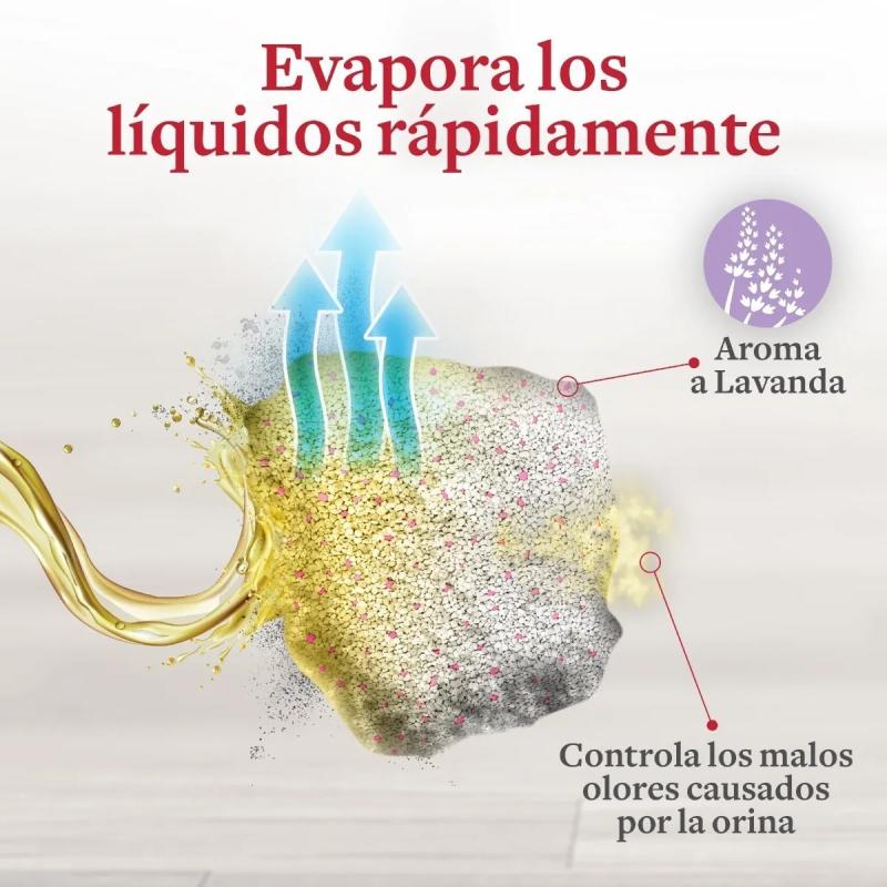 Piedra Natures Miracle Lavanda 2kg Aglomerante Biodegradable