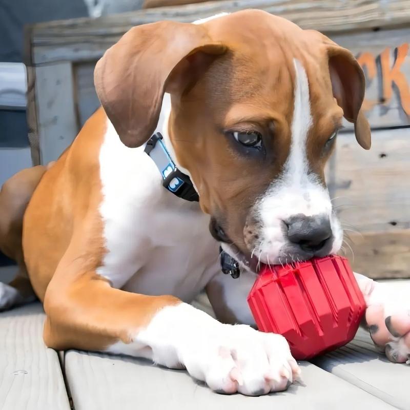 Juguete Pelota Rellenable Kong Stuff Small Para Mascotas